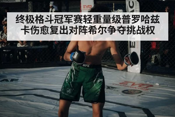 UFC fighter in octagon